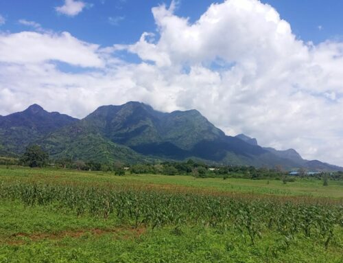 Santa Rita