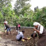 2023_gennaio_18_hicsum_33_timor_leste_spazio_spadoni_italia_misericordia_borgo_mozzano_sr_ansila_suore_figlie_san_francesco_impresa_sociale_piscicoltura_pane_misericordia