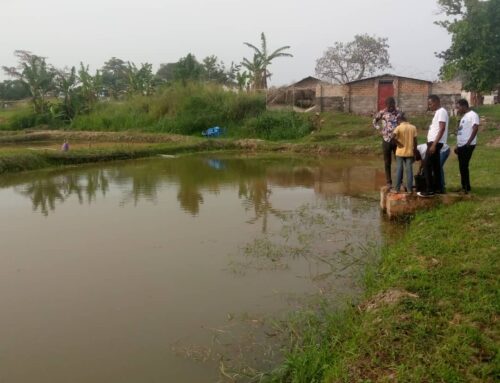 Kisangani (RDC): l’itticoltura e acquacoltura come armi contro la malnutrizione infantile