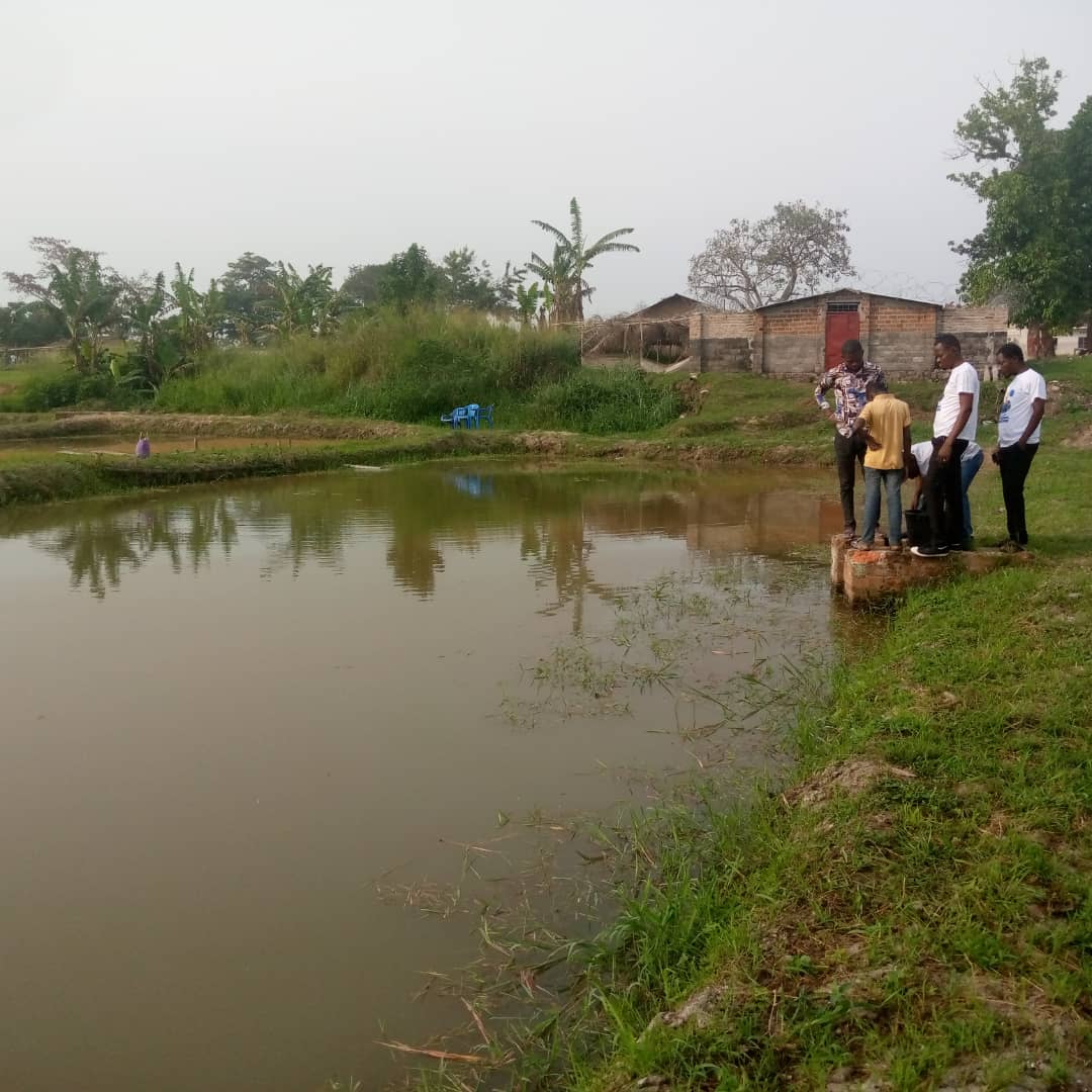 Kisangani (RDC): l’itticoltura e acquacoltura come armi contro la malnutrizione infantile