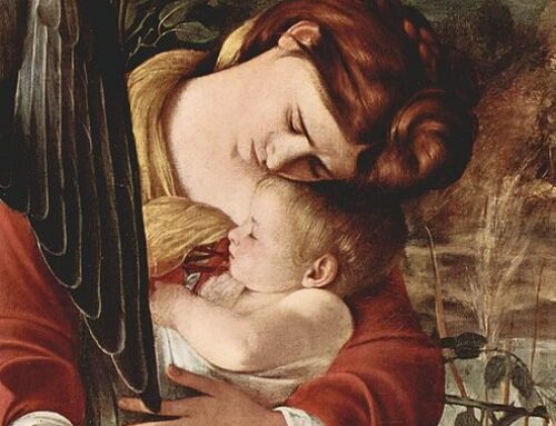 Madre della speranza