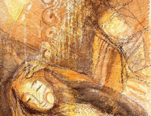 Don Ferdinando Colombo: Visitare gli Infermi
