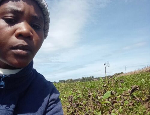 Le Suore Missionarie in Ghana: Sensibilizzazione Contro la Tratta degli Esseri Umani