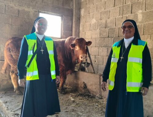 “All togheter”: la missione, fine e mezzo del cammino ecumenico