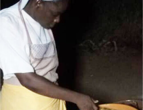Un’Agricoltura Eco-Compatibile con le Suore in Zambia