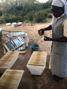 2022_novembre_28_hicsum_31_burkina_faso_spazio_spadoni_sr_odette_sic_suore_immacolata_formazione_apicoltura_arnie_pronte 