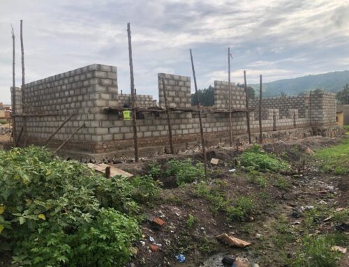 Nuove industrie in Uganda grazie agli scarti delle banane