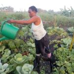24 04 2024 attività agricoltura sr yvette piantato 3 tipi (8)