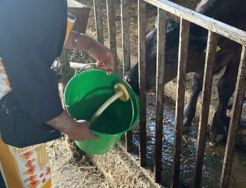La Beata Anuarite Nengapeta a 60 Anni dal suo Martirio