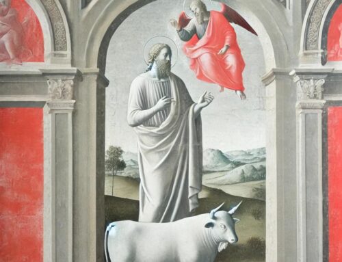 Vangelo di domenica 12 ottobre: XXVIII domenica anno C: Luca 17, 11-19
