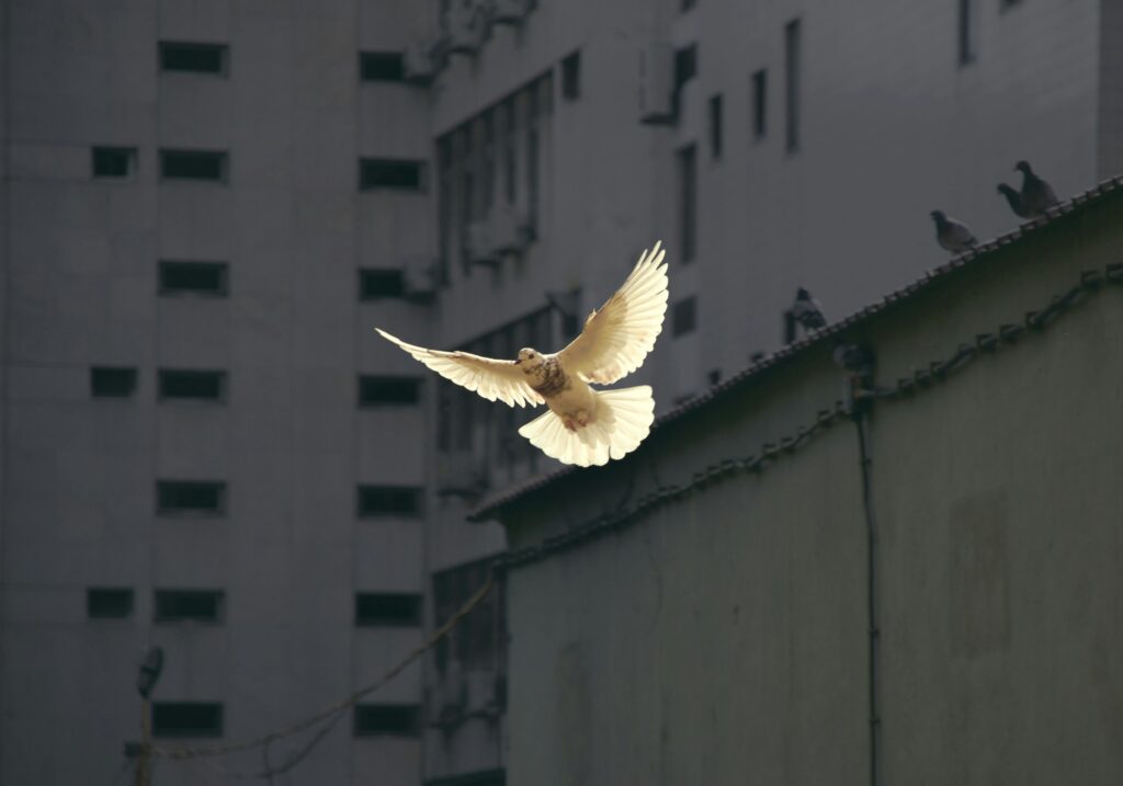 Sunguk Kim_Unsplash