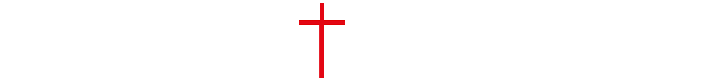 logo_spaziospadoni_sfondo_trasparente_croce_bordata