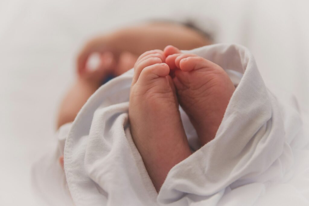 https://unsplash.com/it/