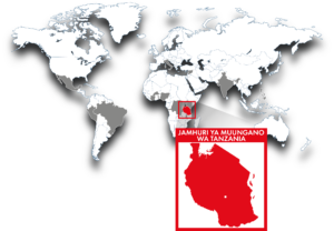 hicsum_42_tanzania-spaziospadoni