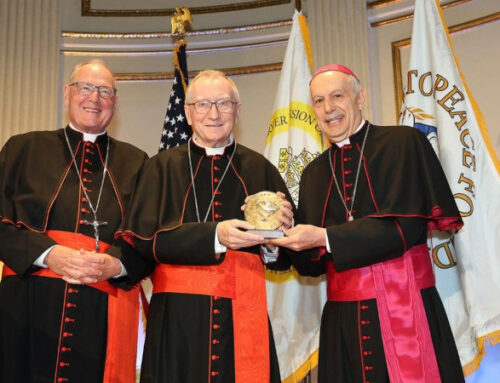 Al cardinal Parolin un premio per la pace