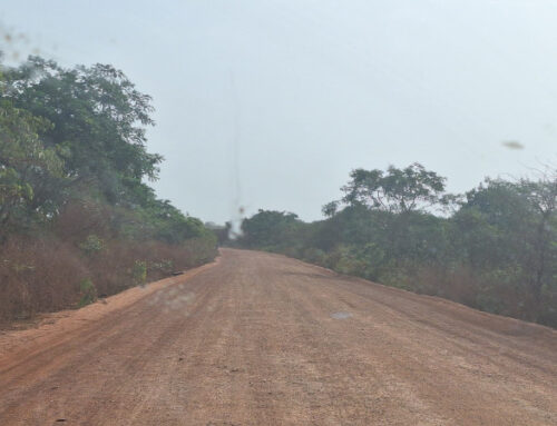 Guinea Bissau: “fuori strada”