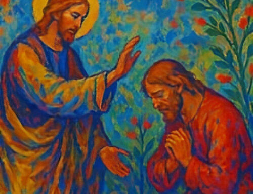 Non guardare alle nostre forze, ma alla misericordia del Signore