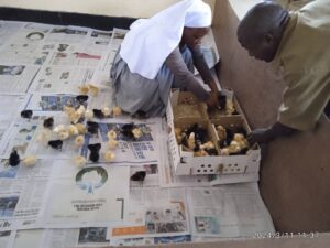 2024_marzo_Tanzania_Africa_pollaio_impresa_sociale_hic_sum_suor_Leah_spazio_spadoni