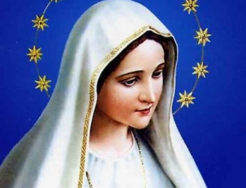 Santo del giorno 28 giugno 2025: Cuore Immacolato della Beata Vergine Maria