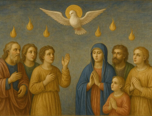 Vieni, Santo Spirito, ad accendere nei nostri cuori la Misericordia