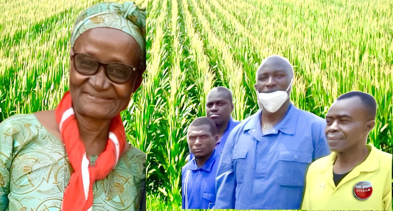 Progetto Camerun