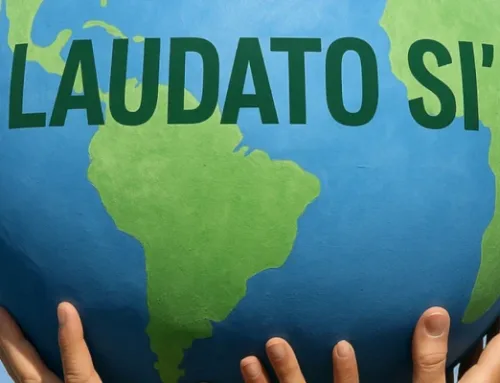 Dieci anni di Laudato Si’: impatto e sfide