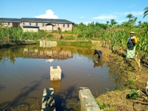 2023_maggio_suor_elisabeth_progetto_hic_sum_congo_piscicoltura_impresa_sociale_spazio_spadoni 