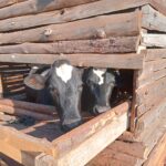 2024_novembre_25_suor_maria_spazio_spadoni_impresa_sociale_tanzania_progetto_hic_sum