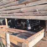 2024_novembre_25_suor_maria_spazio_spadoni_impresa_sociale_tanzania_progetto_hic_sum (2)