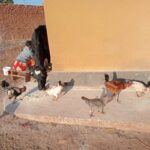 2024_novembre_25_suor_maria_spazio_spadoni_impresa_sociale_tanzania_progetto_hic_sum (3)