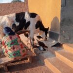 2024_novembre_25_suor_maria_spazio_spadoni_impresa_sociale_tanzania_progetto_hic_sum (4)