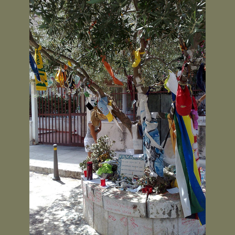 Paolo_Borsellino_tree Paolo_Borsellino_tree