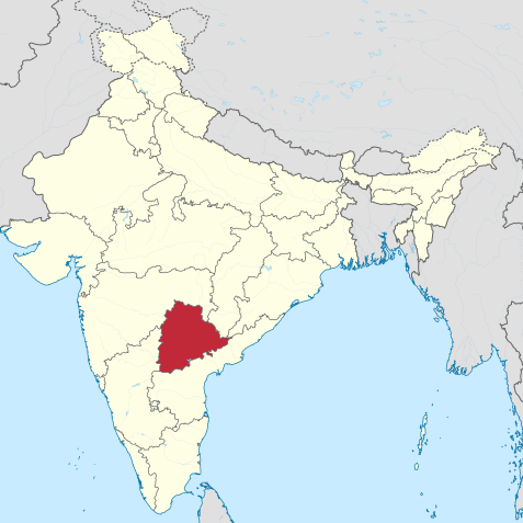 L’esplosione della fabbrica in India | Vicini alle vittime