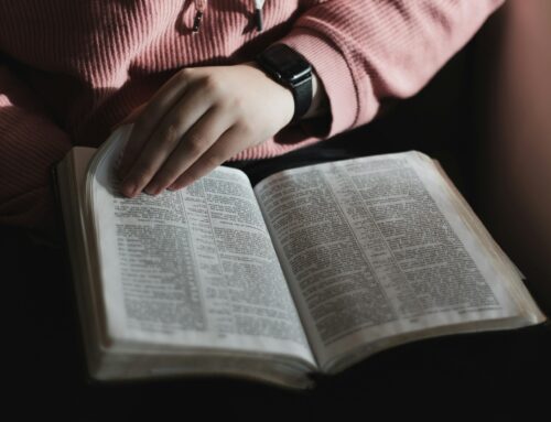 Intenzione di preghiera del Papa: per la Formazione al Discernimento