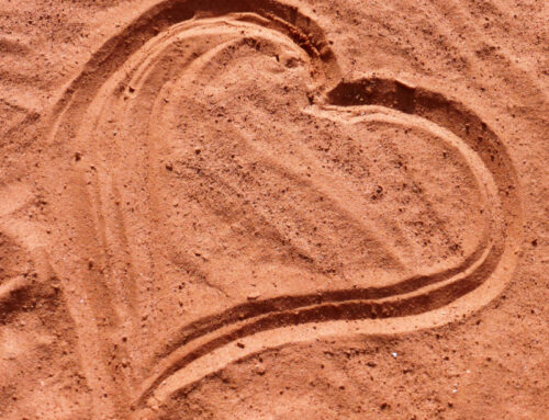 “La larghezza del cuore di Dio” che fa spazio alle opere di misericordia
