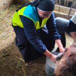 2025_aprile_28_suor_theresa_formazione_mungitura_spazio_spadoni_hic_sum (7)