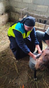 2021_agosto_hicsum_10_suor_Hyacinthe_italia_arezzo_misericordia_sansepolcro_formazione_impresa_sociale_cucina_spazio_spadoni