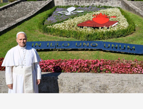 Il Borgo Laudato Si’: modello di misericordia verso il Creato