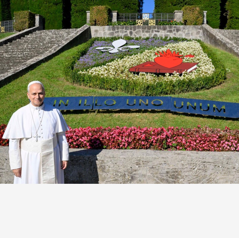 PapaLeone-LaudatoSi PapaLeone-LaudatoSi