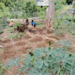 2025_novembre_17_suor_rodha_flora_indonesia_impresa_sociale_hic_sum_spazio_spadoni_agricoltura (1)