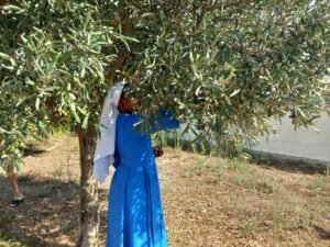 2021_agosto_hicsum_10_suor_Hyacinthe_italia_arezzo_misericordia_sansepolcro_formazione_impresa_sociale_cucina_spazio_spadoni