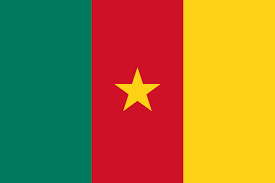 Bandiera Camerun Bandiera Camerun