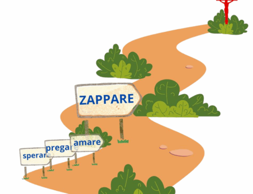 Essere testimoni di misericordia – ZAPPARE