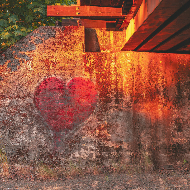 Opere di misericordia: «Alla sera della vita, saremo giudicati sull’amore»