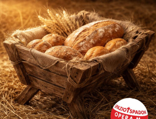 Novena delle opere di misericordia di spazio + spadoni | PRIMO GIORNO: 16 dicembre