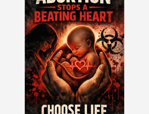 Zimbabwe | la Conferenza dei vescovi cattolici chiama alla mobilitazione contro una legge sull’aborto