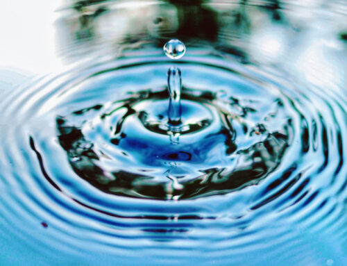 22 marzo, Giornata mondiale dell’acqua