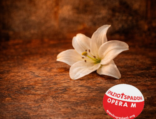 Novena delle opere di misericordia di spazio + spadoni | OTTAVO GIORNO