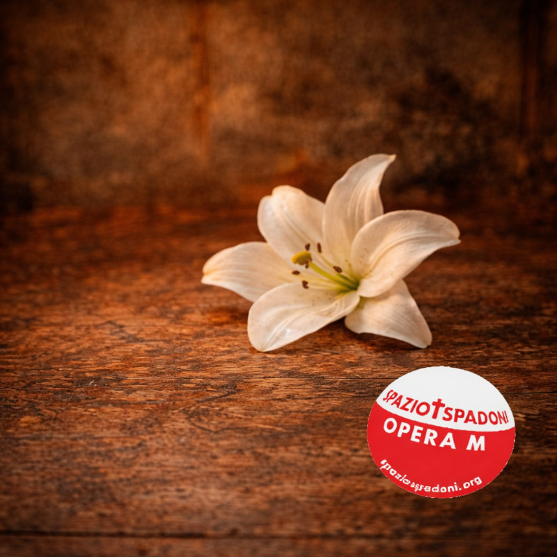 Novena delle opere di misericordia di spazio + spadoni | OTTAVO GIORNO