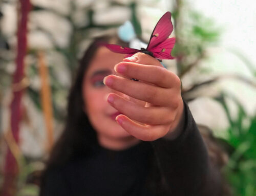 Giubileo dei detenuti | La speranza non sia reclusa